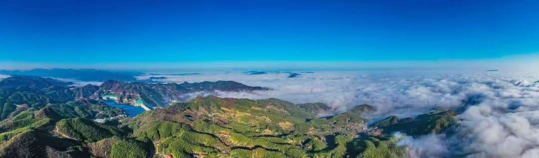 大林觀海