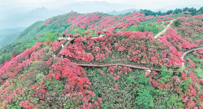 2025年大別山溫泉·映山紅文化旅游推介會(huì)在吳家店鎮(zhèn)舉行